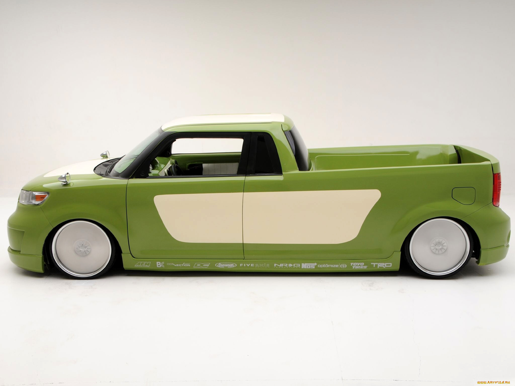 , scion